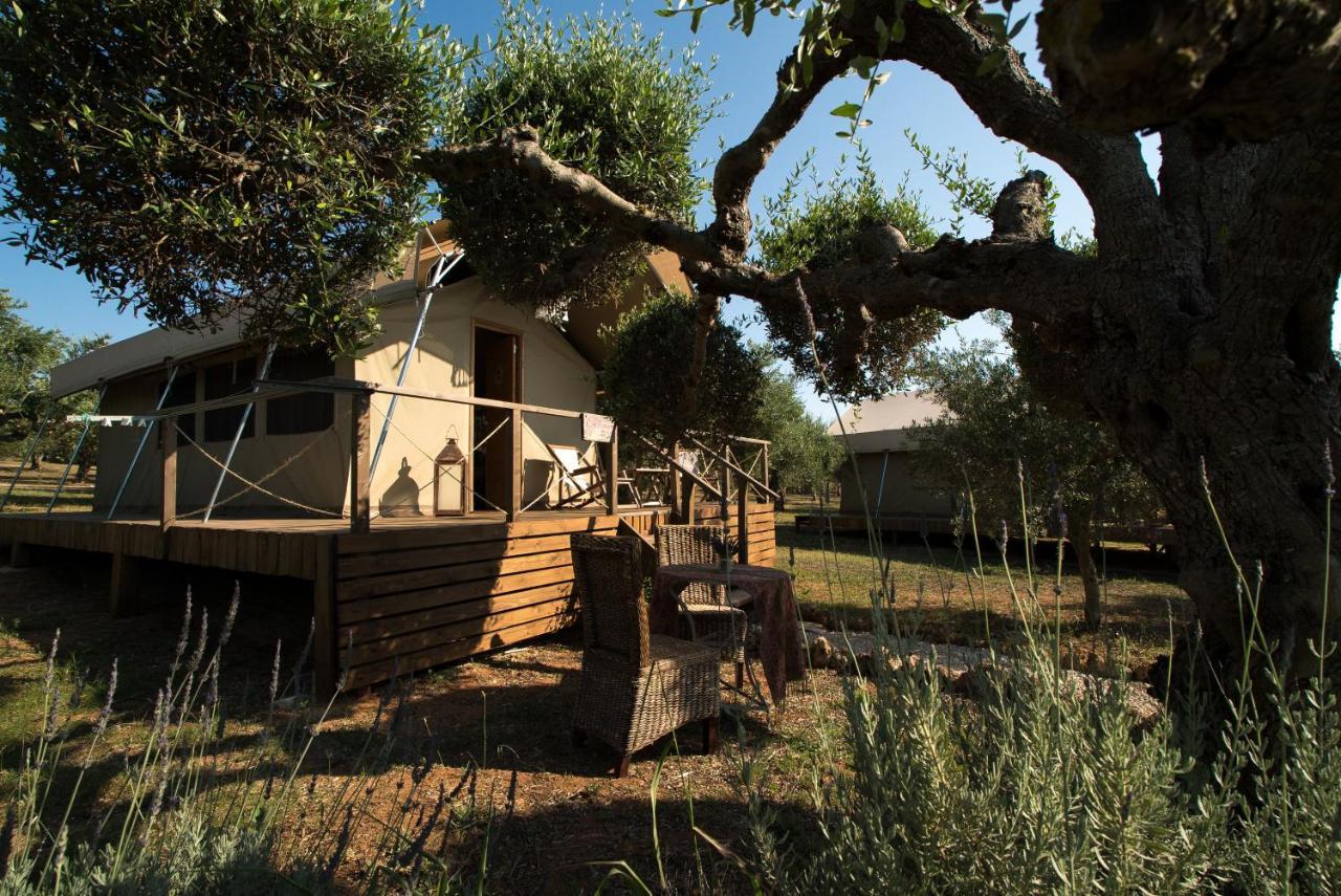 Agrikies Country Retreat Marathopoli