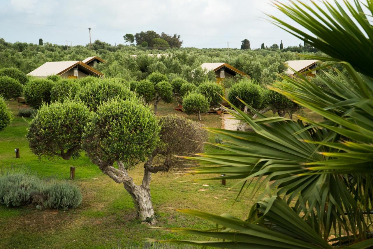 Agrikies Country Retreat Apartment Marathopoli