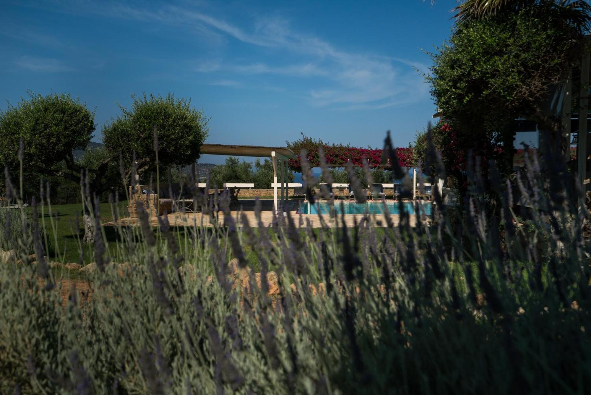 Agrikies Country Retreat Apartment Marathopoli